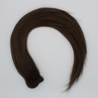 Ponytails (Queue de cheval) - SIRENA - Maijrel 6 Balayage fin naturel #SA