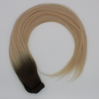 Ponytails (Queue de cheval) - XENA - Majirel 7 Ombré blond beige #XA